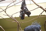DSC_9123.JPG